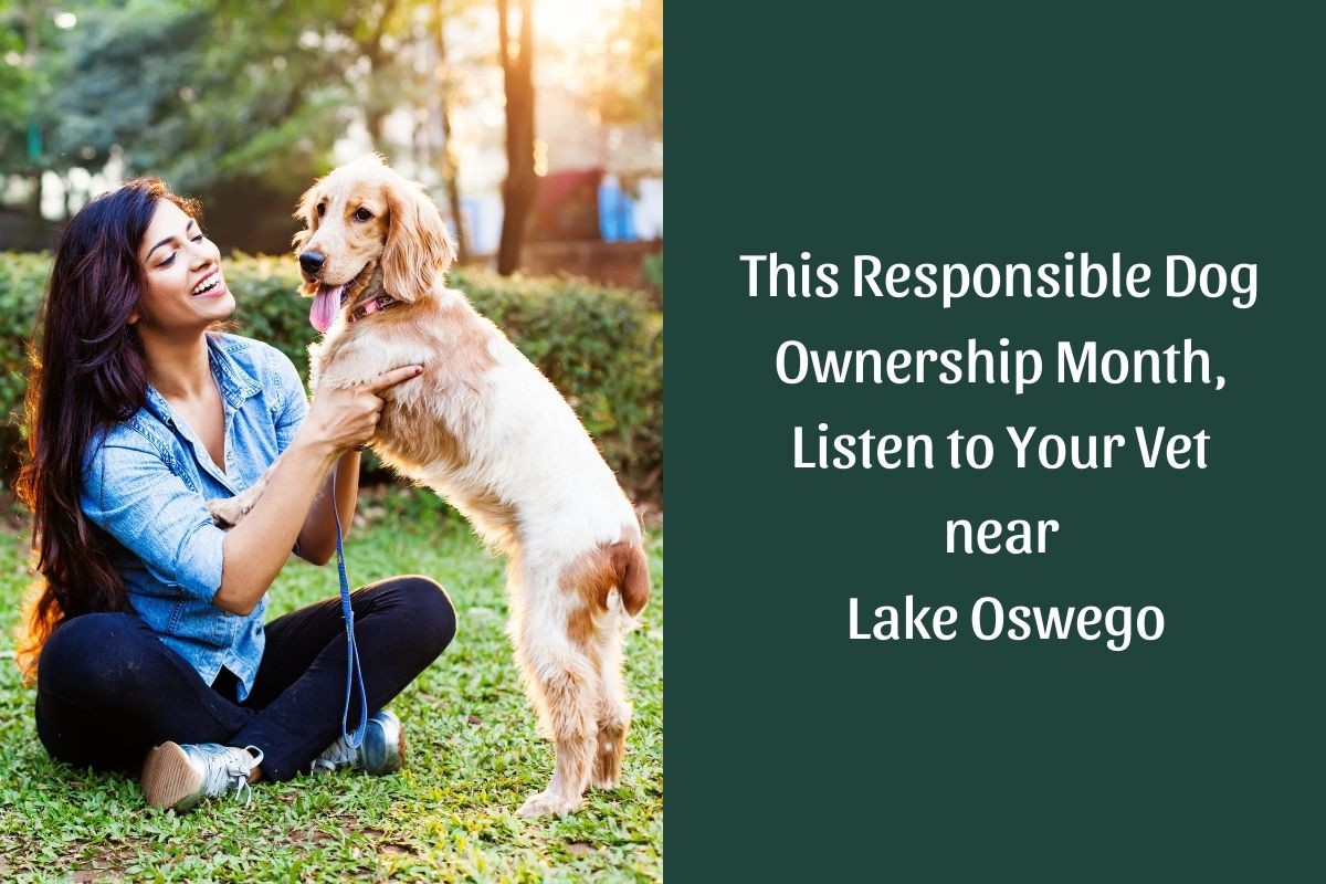 This-Responsible-Dog-Ownership-Month-Listen-to-Your-Vet-near-Lake-Oswego